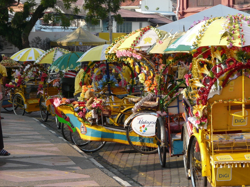 P1000400.JPG