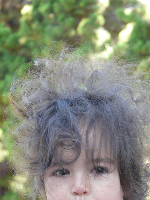 P1000083.JPG